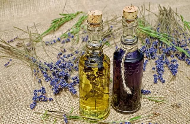 Guide d'Achat des Thérapies Naturelles pour la Santé