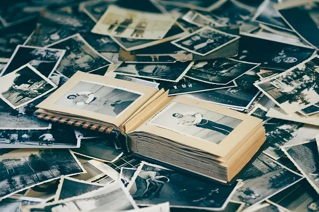 Essential Photography Tips for Beginners