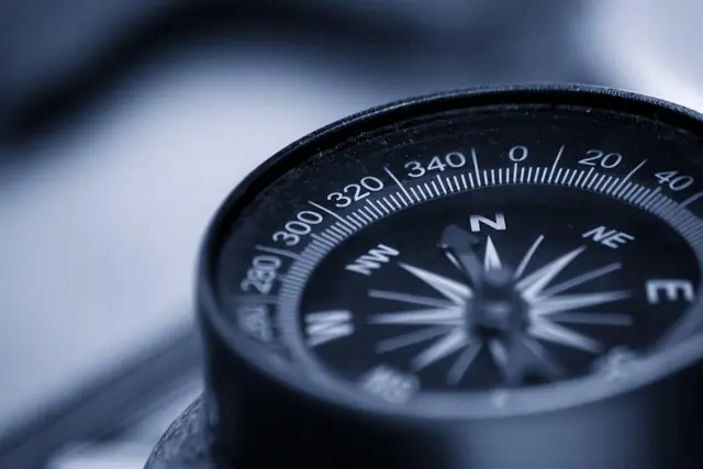 Essential Entrepreneurial Leadership Qualities