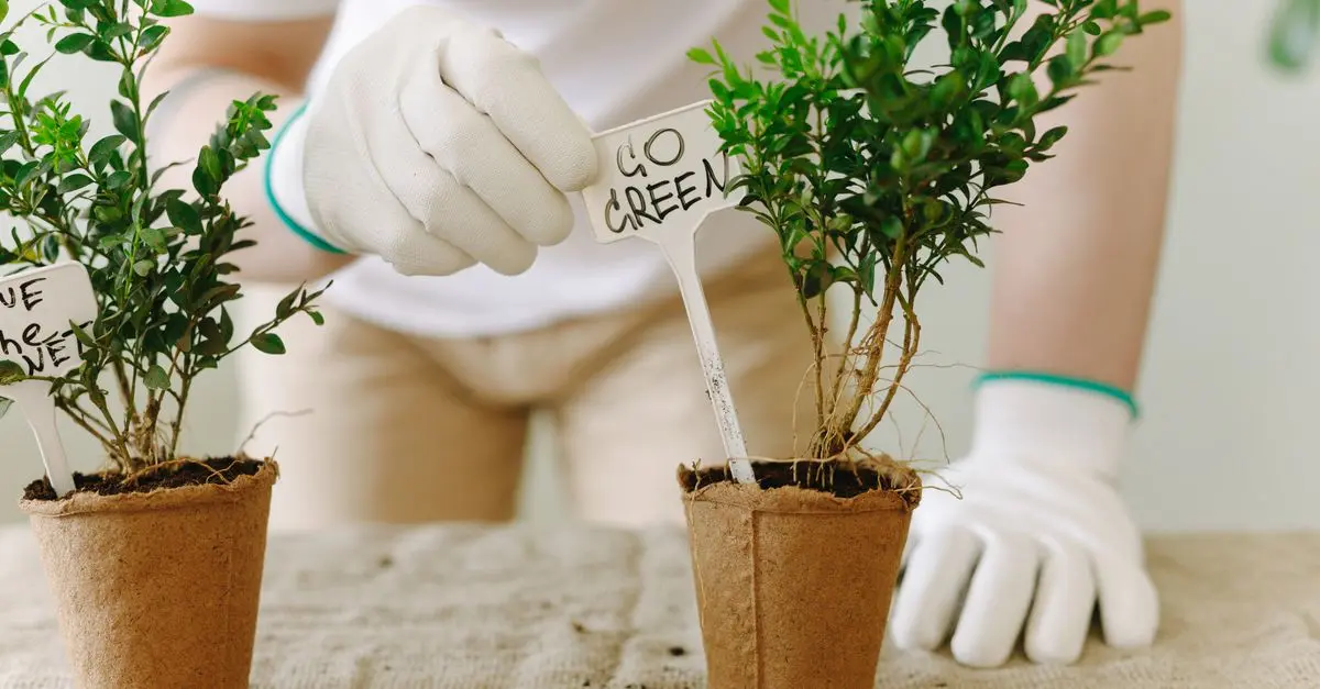 Sustainable Gardening Tips for Eco-Friendly Cultivation