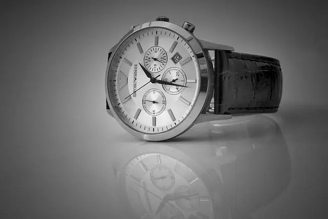 Guide Technique des Montres Connectées