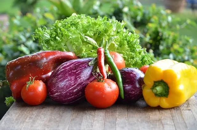 Guía de compra: Mejores batidos de proteínas vegetales