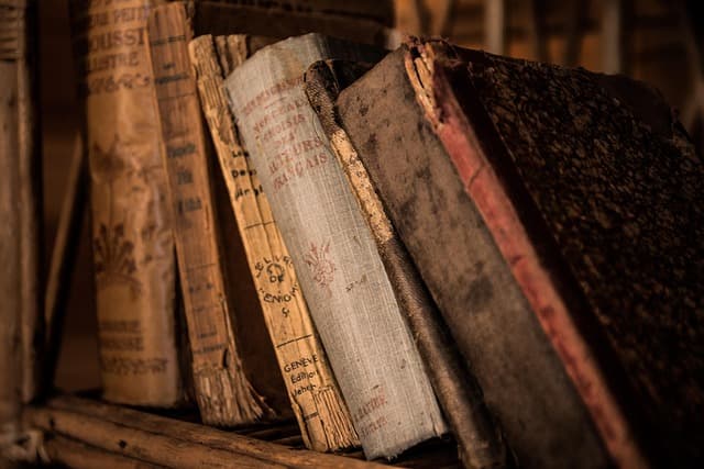 Discover Amazing Books Discounts This Season
